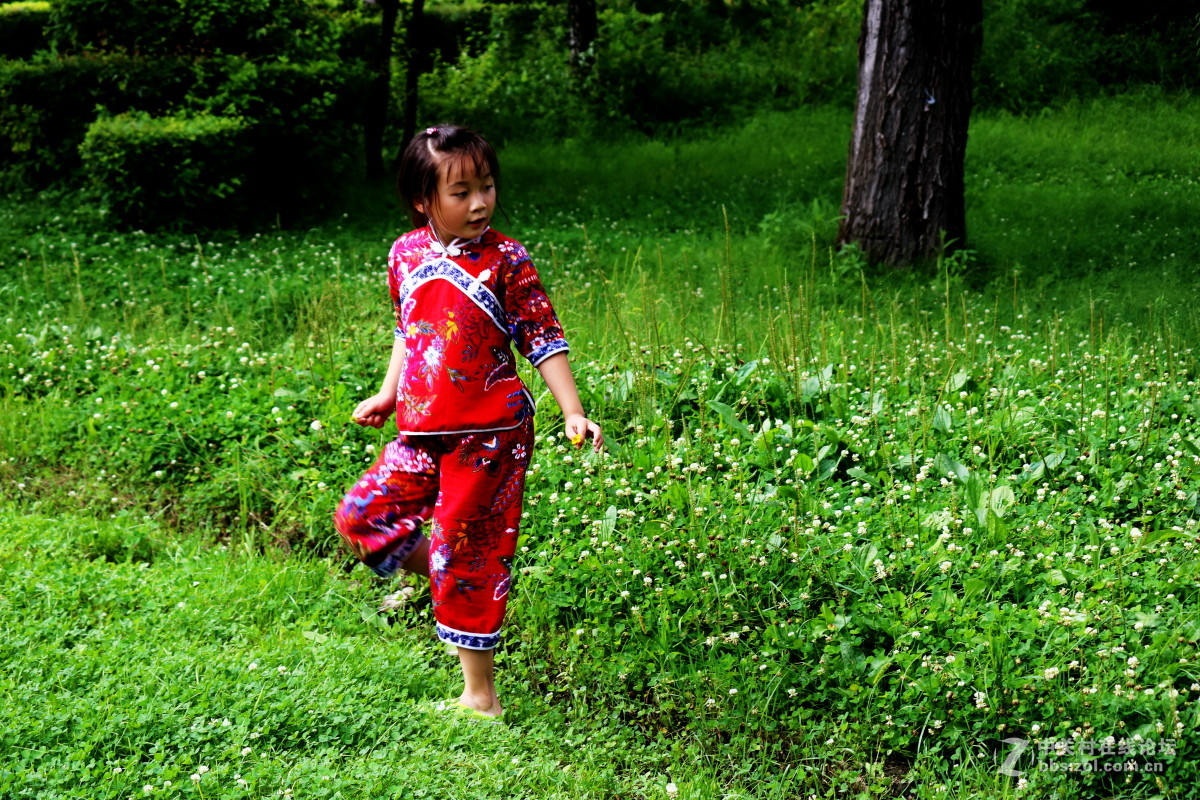 公园拍滴花花。。欢迎光临