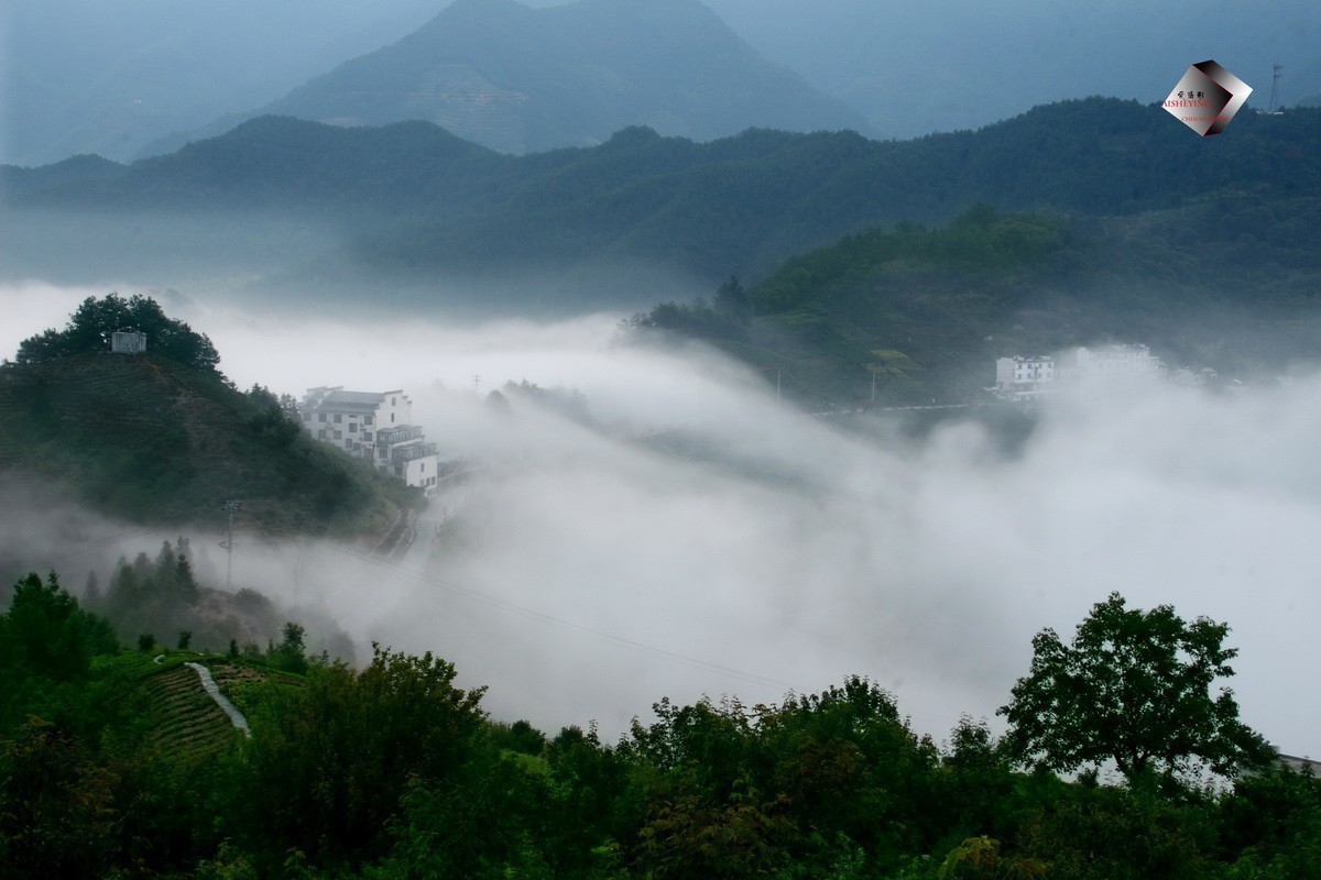 安徽歙縣坡山雲海