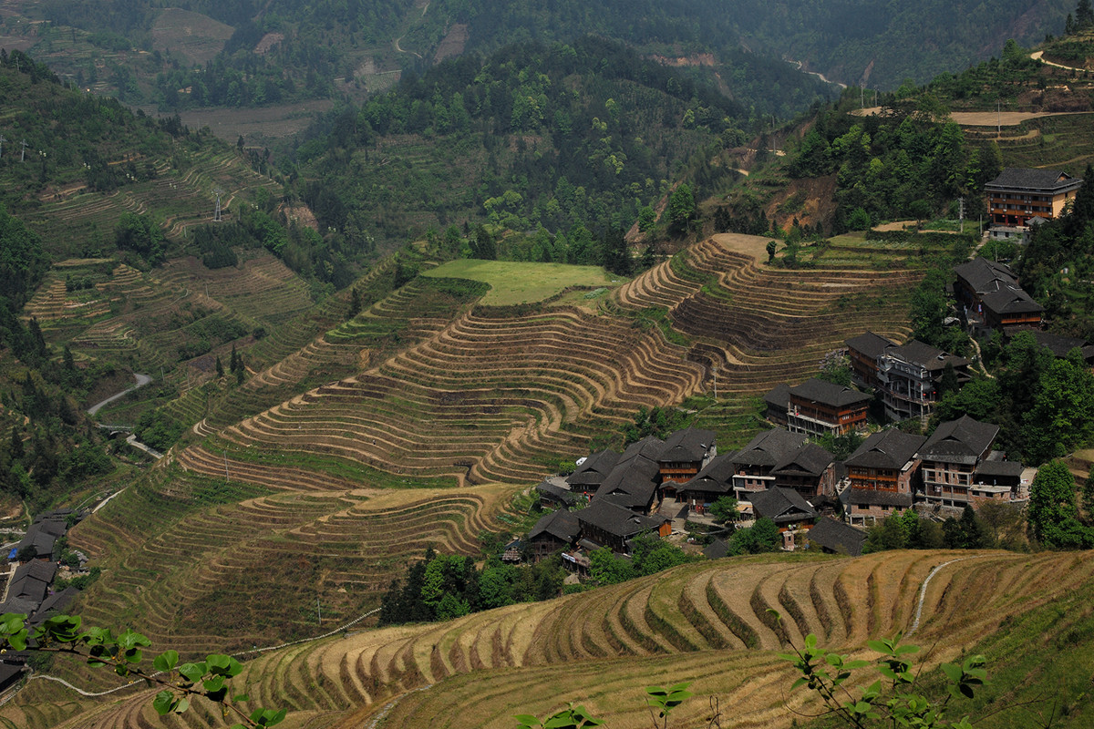 #版主坐堂#2015年5月份《承德》优秀作品选辑