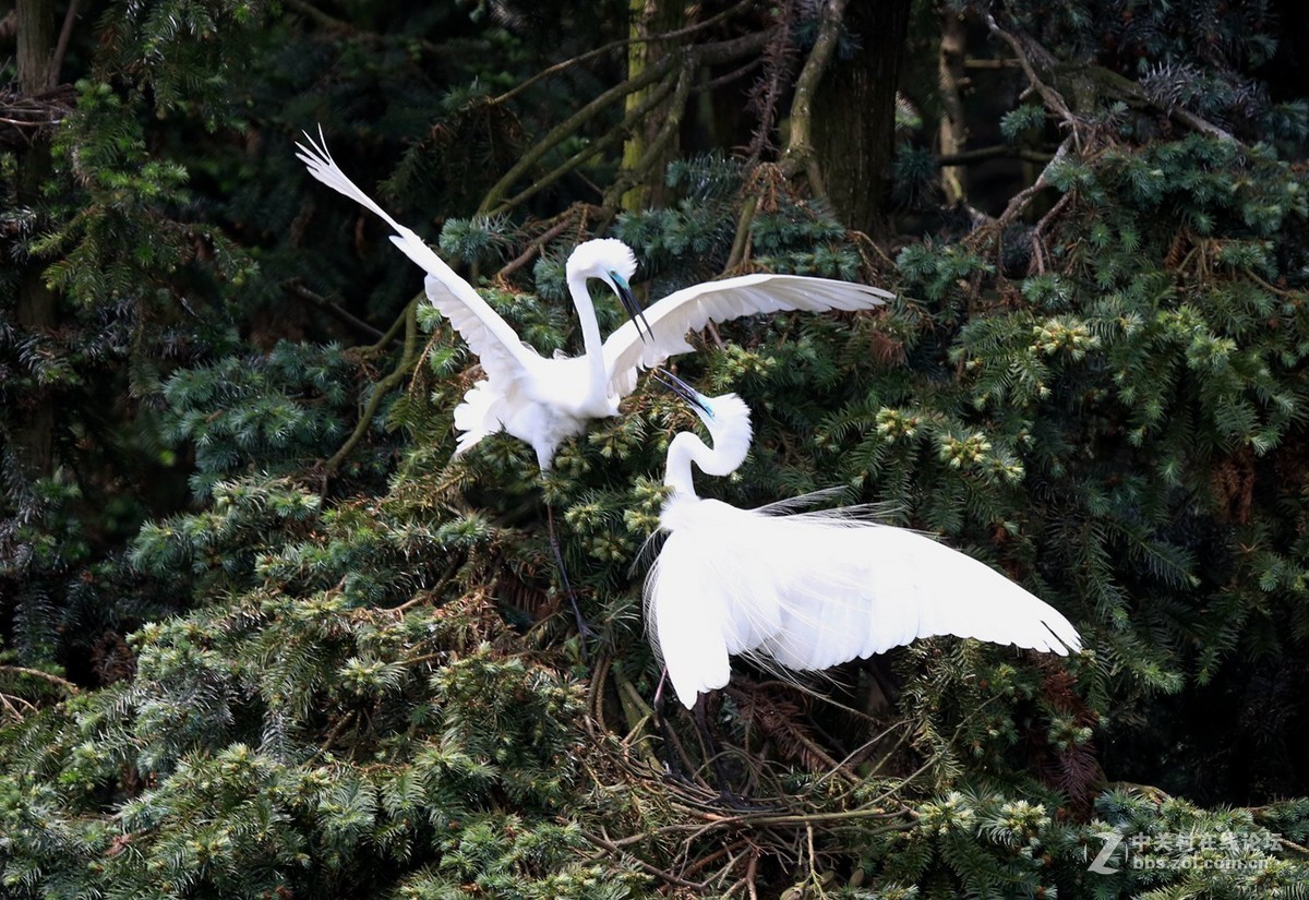 #版主坐堂#2015年5月份《承德》优秀作品选辑