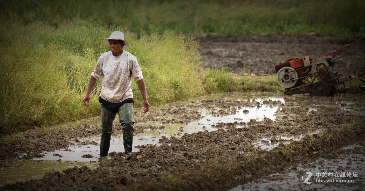 #版主坐堂#2015年5月份《承德》优秀作品选辑