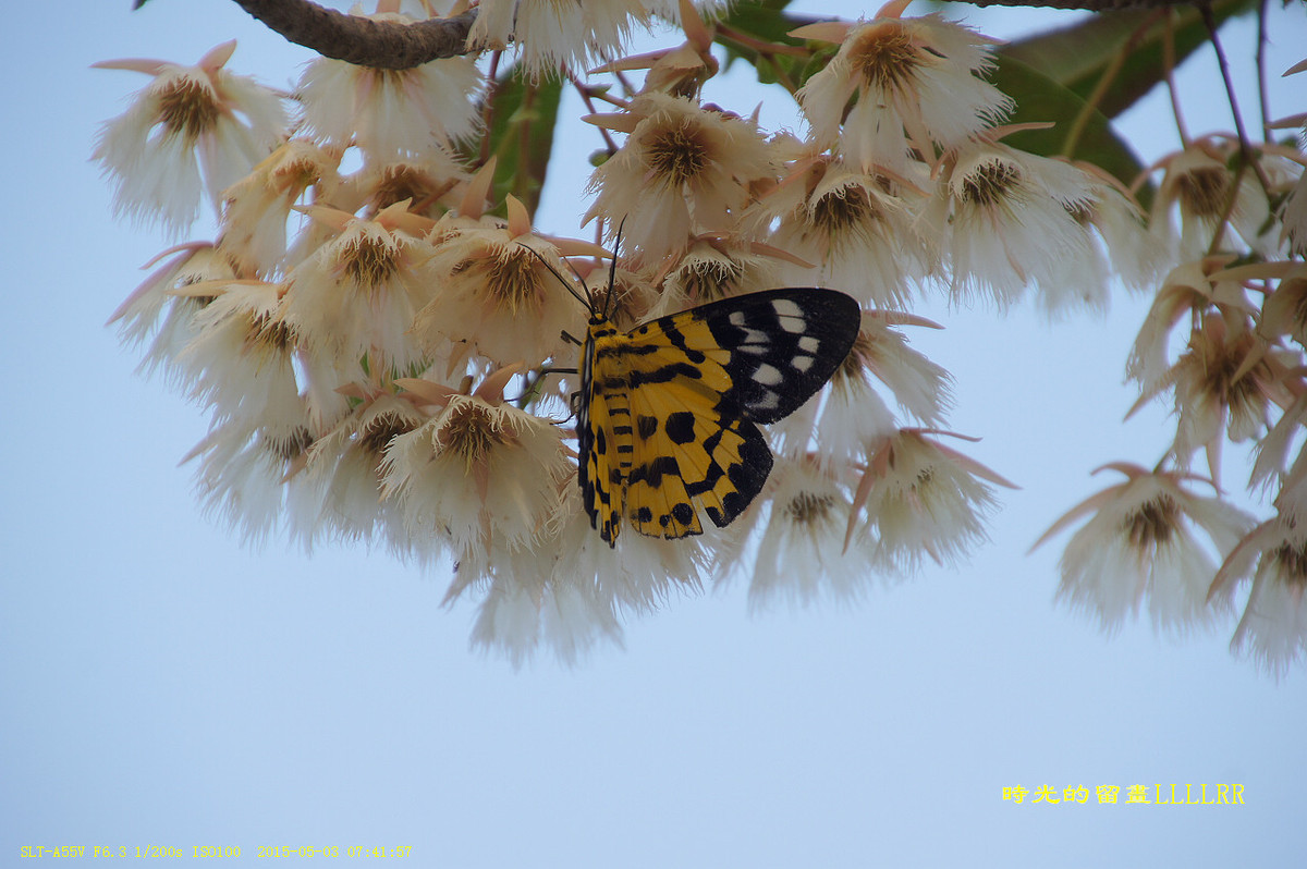 #版主坐堂#2015年5月份《承德》优秀作品选辑