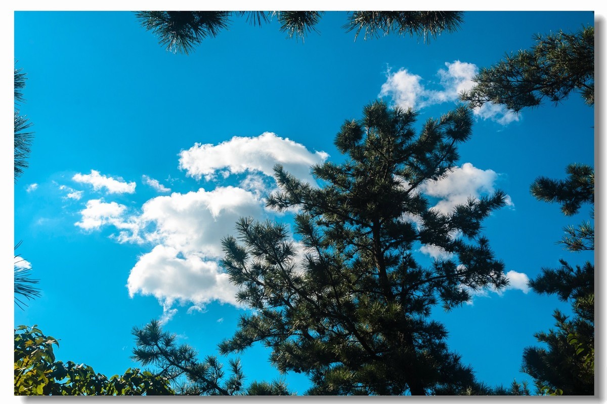 2018年国庆去崂山几幅图