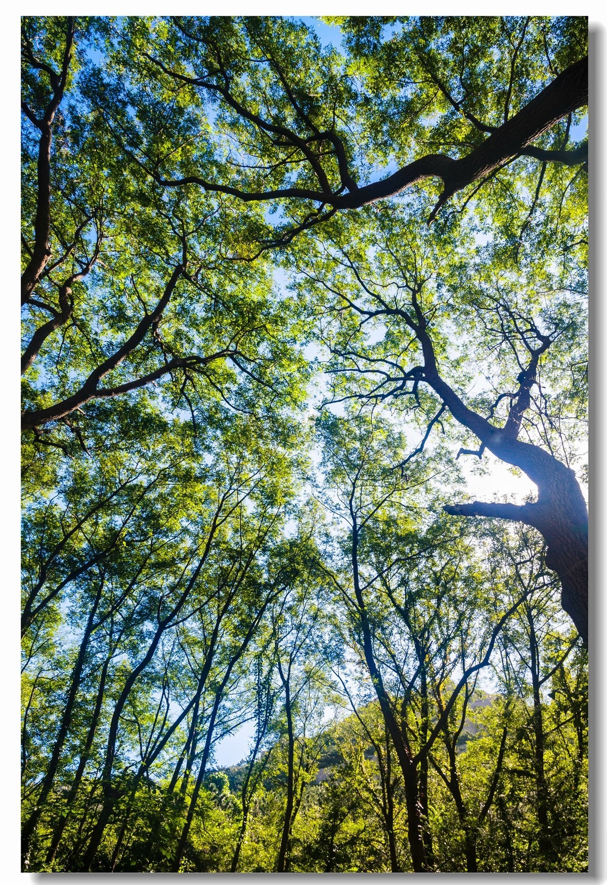 2018年国庆去崂山几幅图