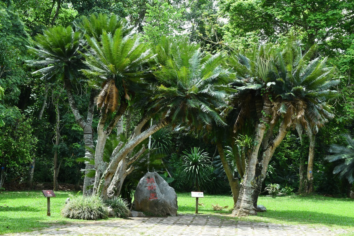 中科院西双版纳植物园