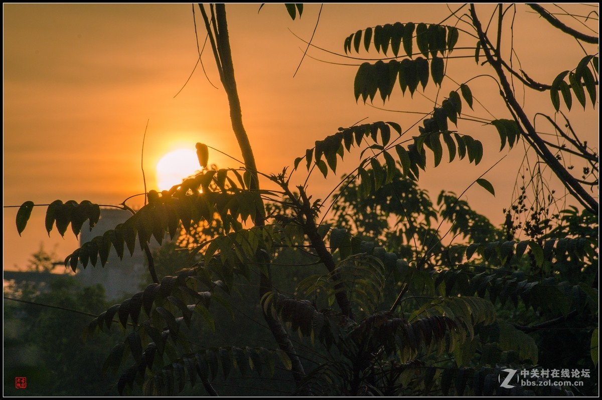 太阳出来啰儿，喜洋洋！