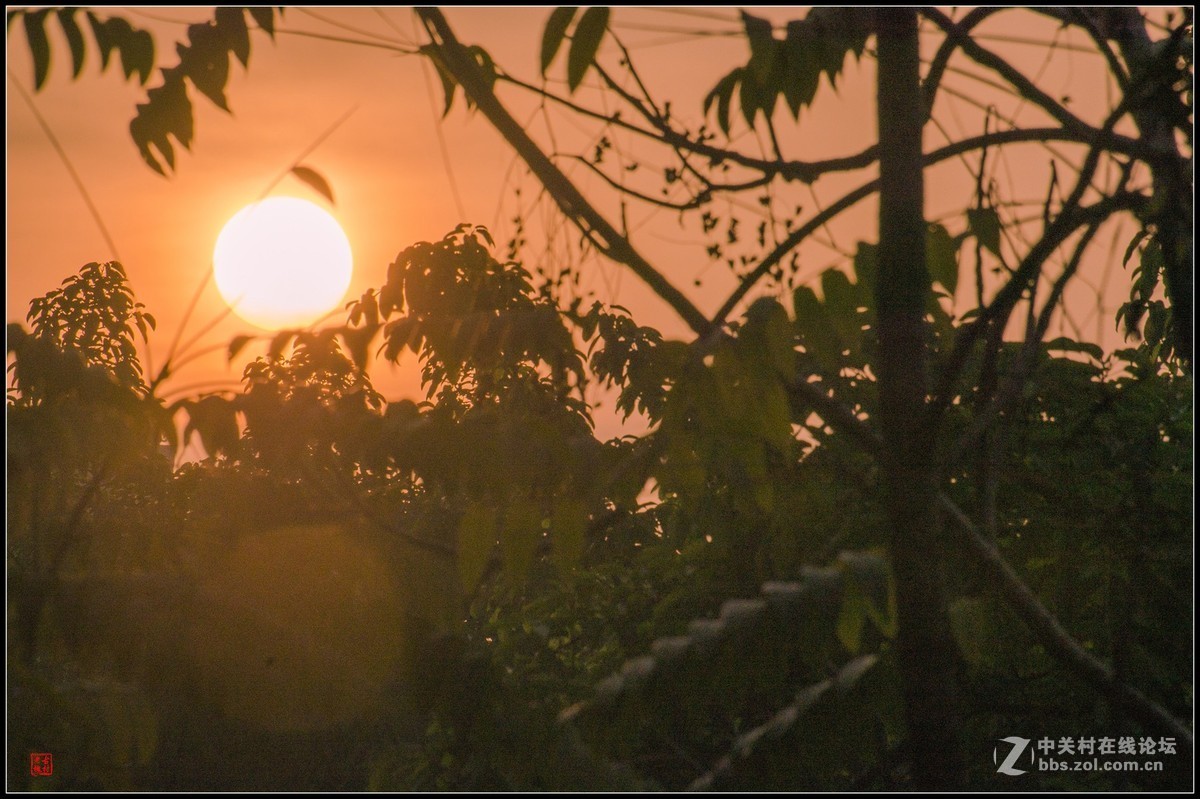 太阳出来啰儿，喜洋洋！