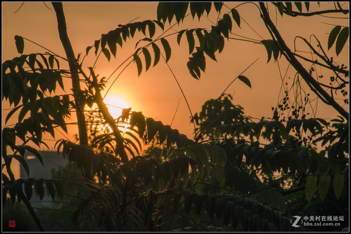 太阳出来啰儿，喜洋洋！