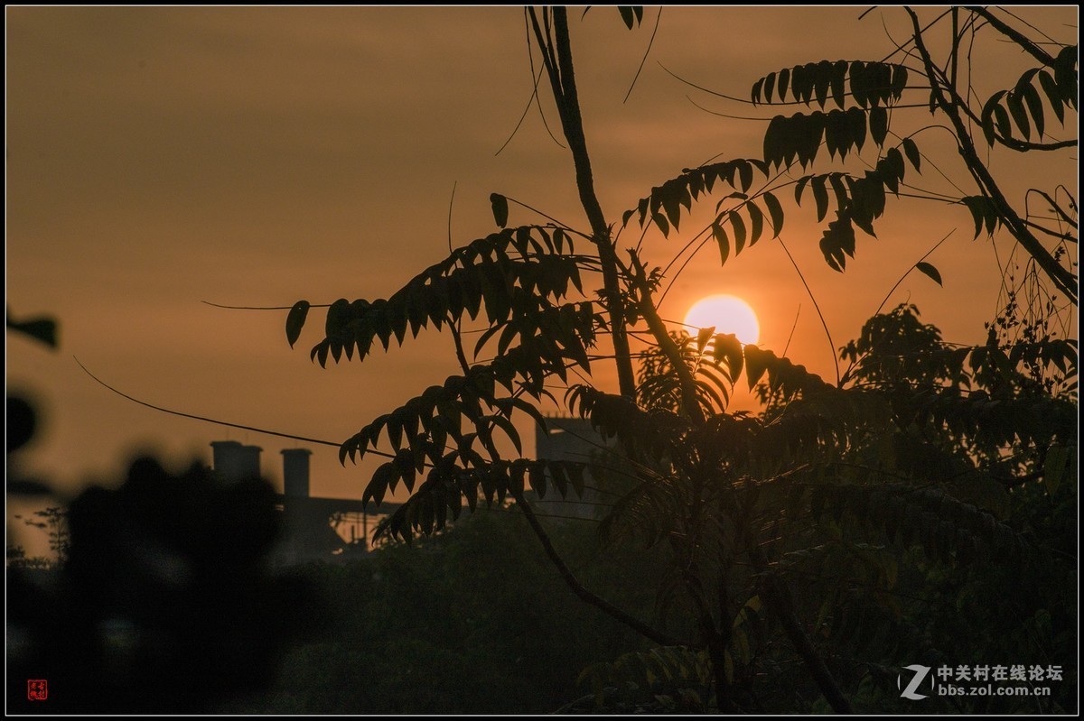 太阳出来啰儿，喜洋洋！