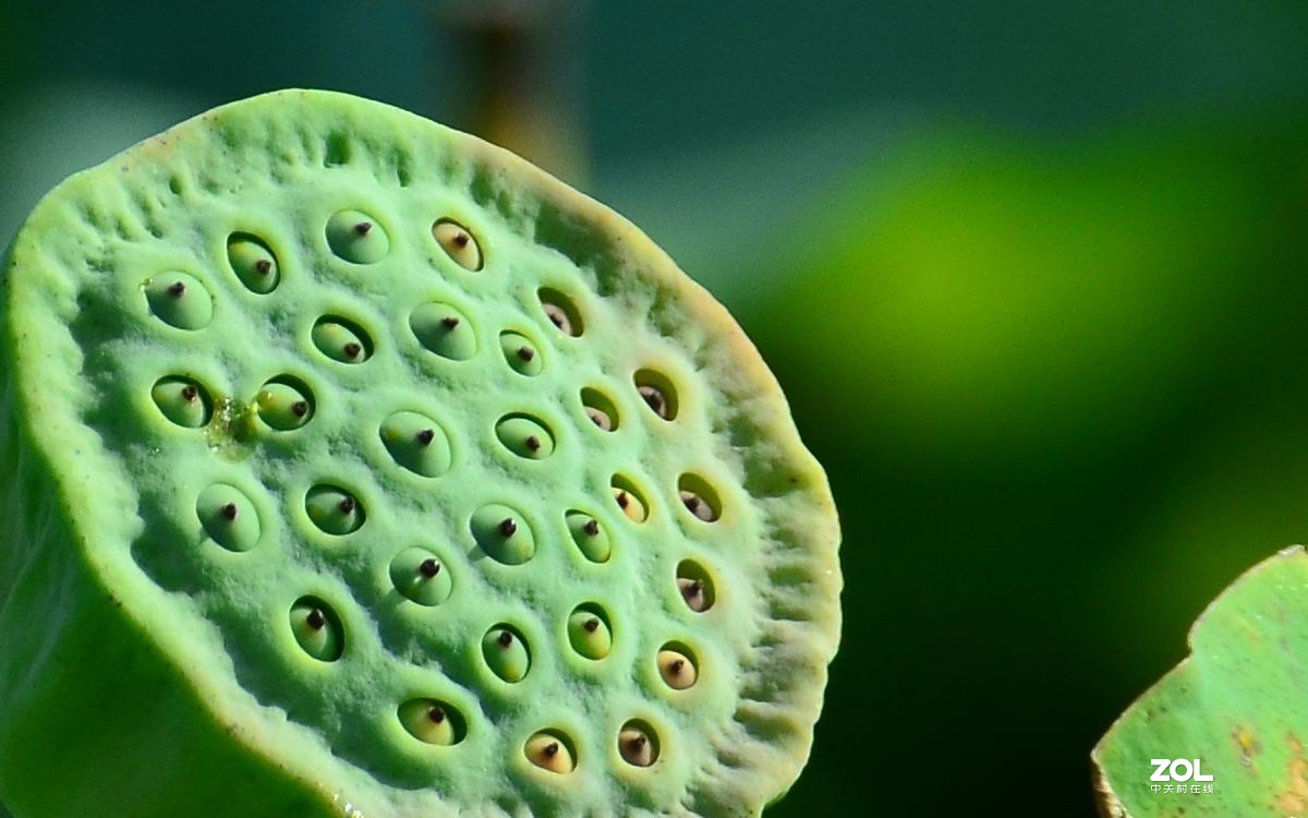 单反镜头画质对比：尼康18-300F3.5-5.6 Vs 适马150-600Sports