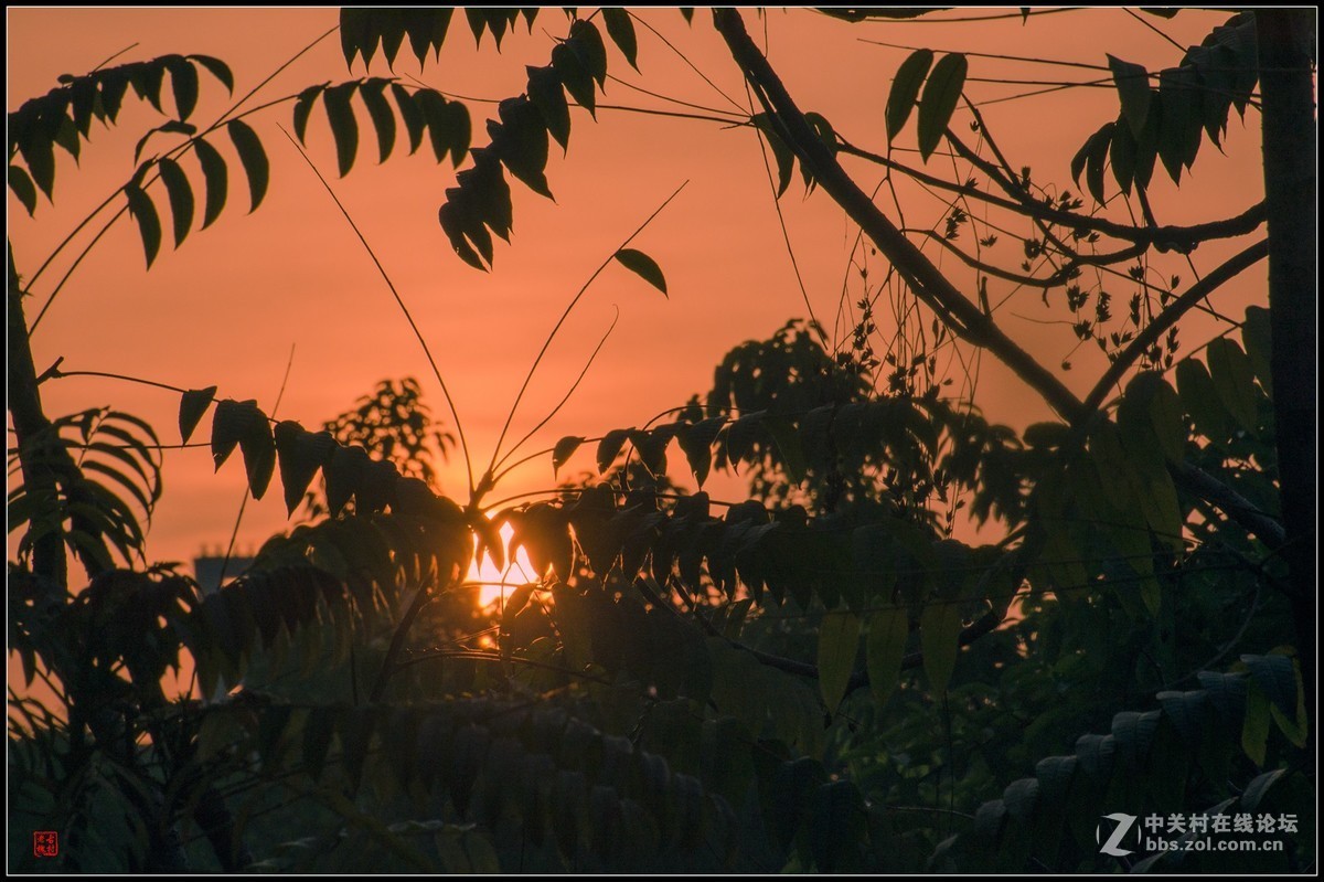 太阳出来啰儿，喜洋洋！