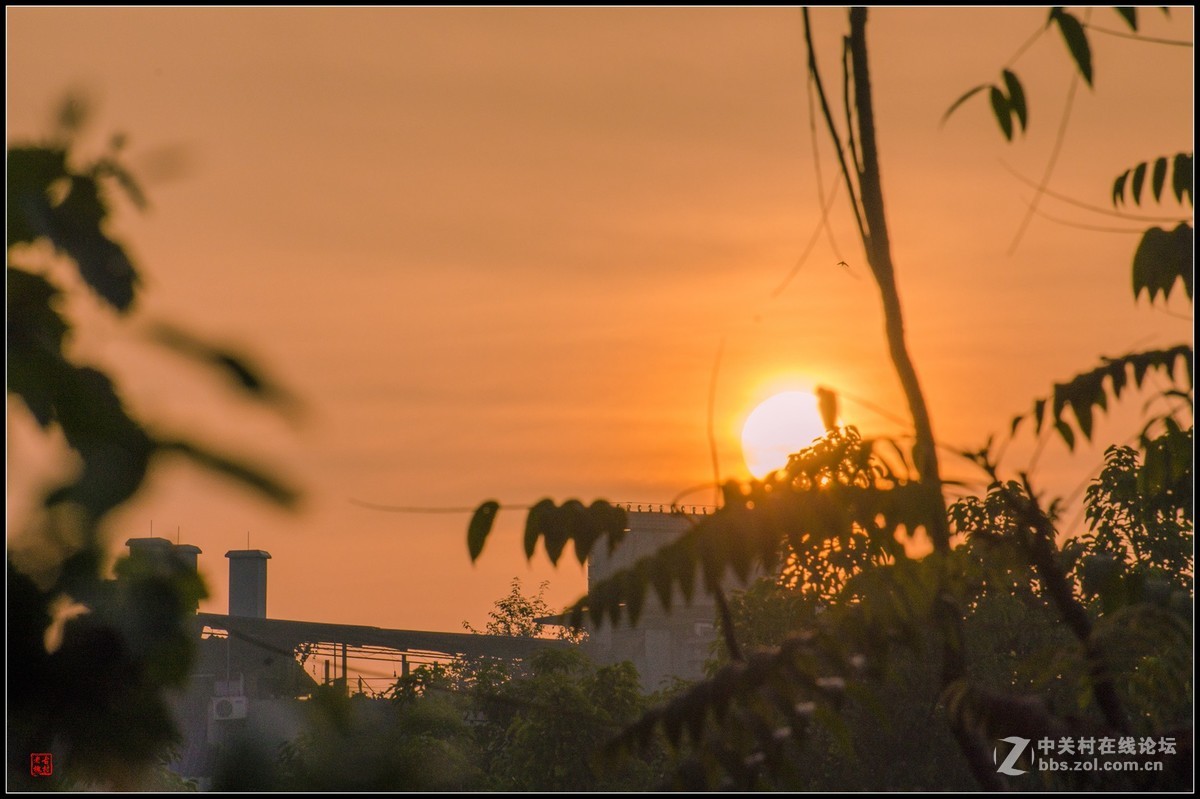 太阳出来啰儿，喜洋洋！