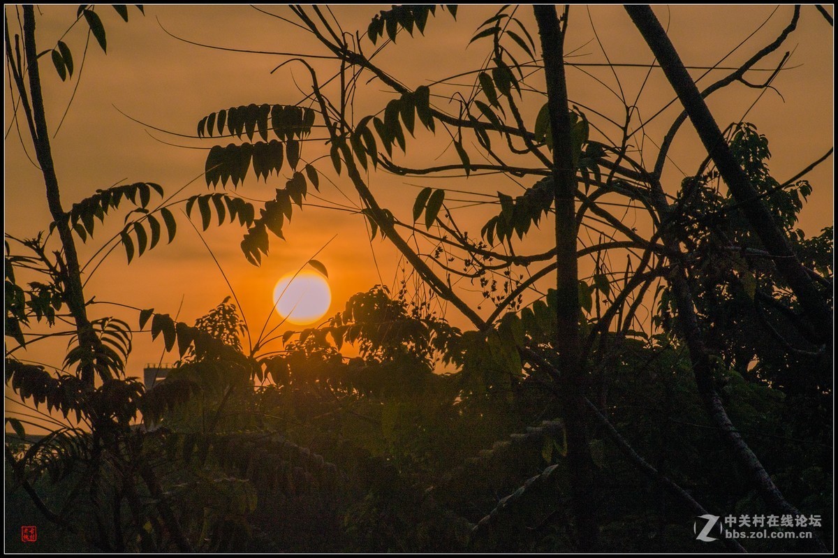 太阳出来啰儿，喜洋洋！