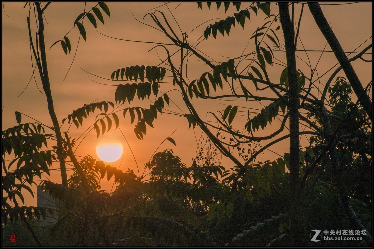 太阳出来啰儿，喜洋洋！