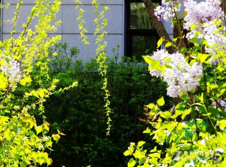 继续发片DAL553还是很福利的