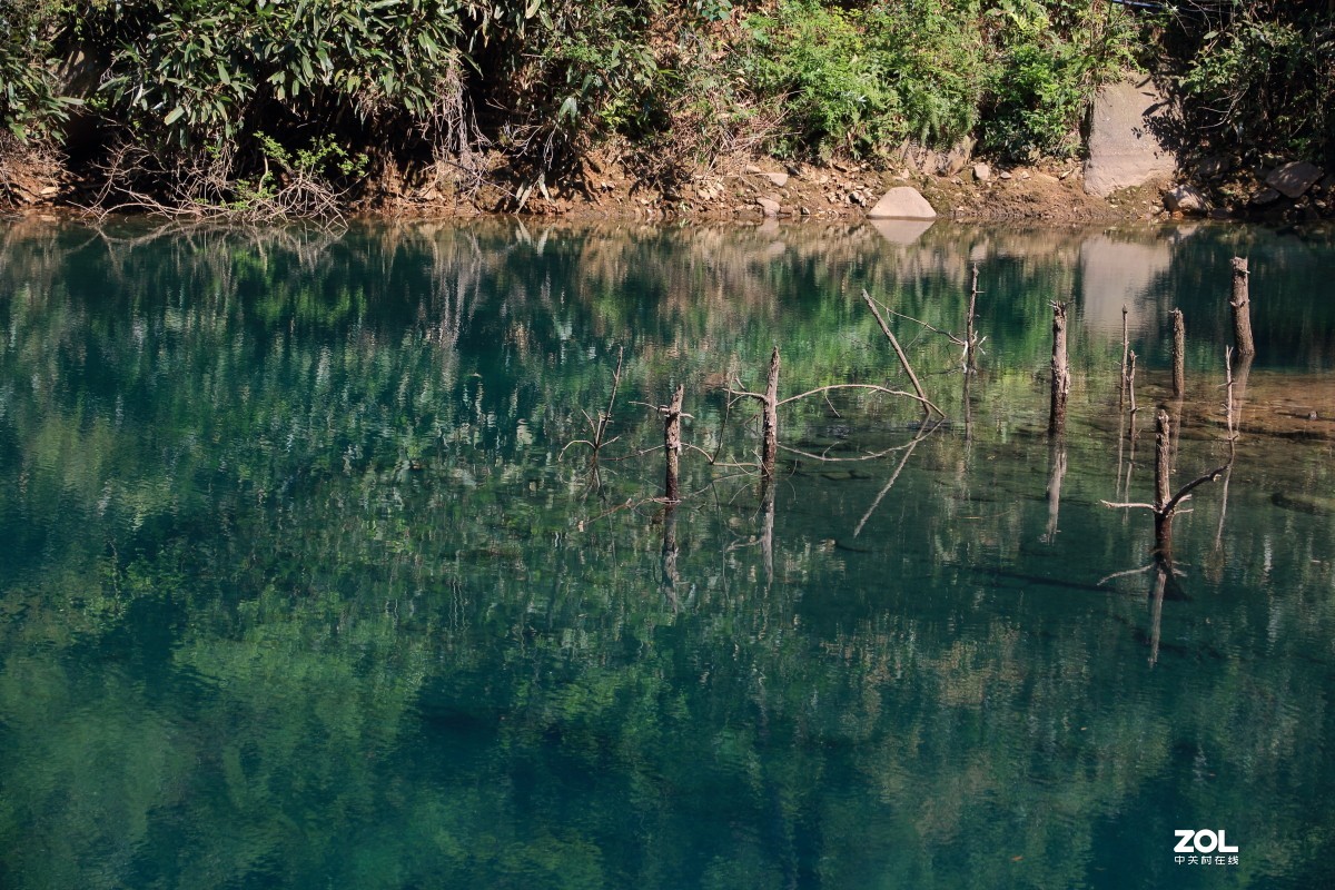 大奇山森林公园～～
