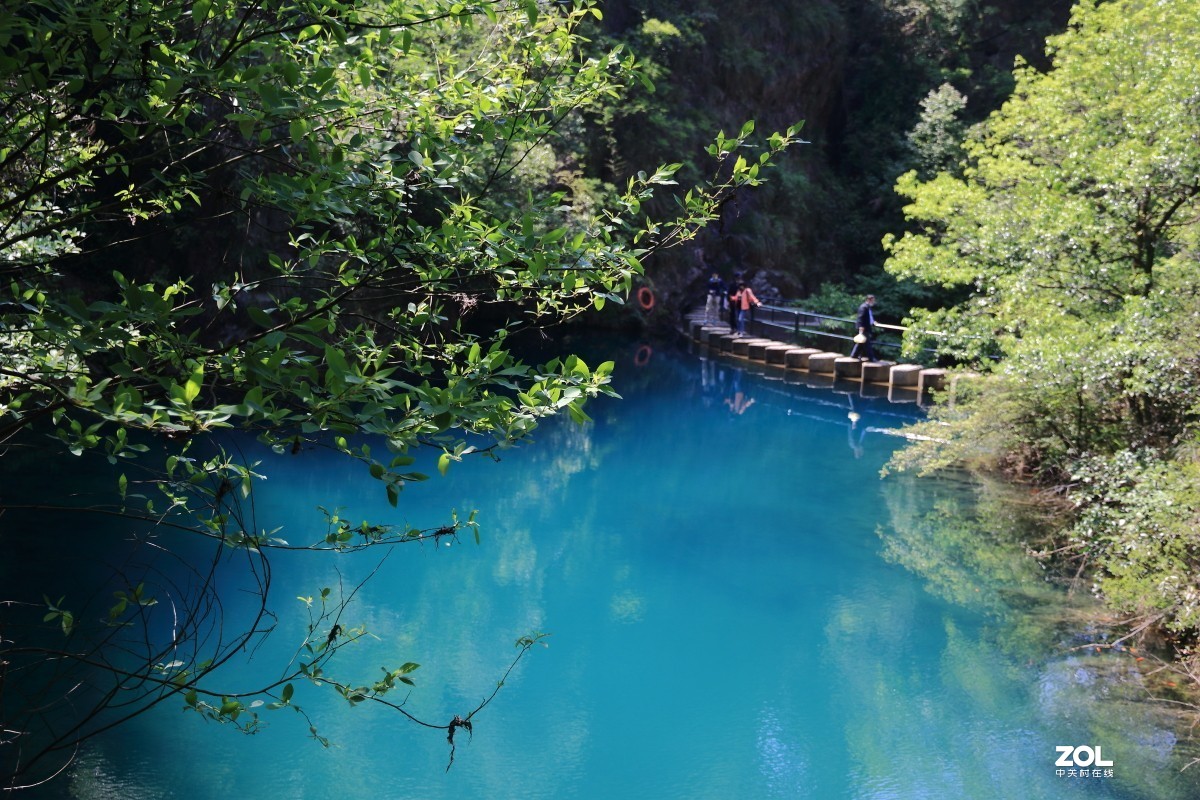大奇山森林公园～～