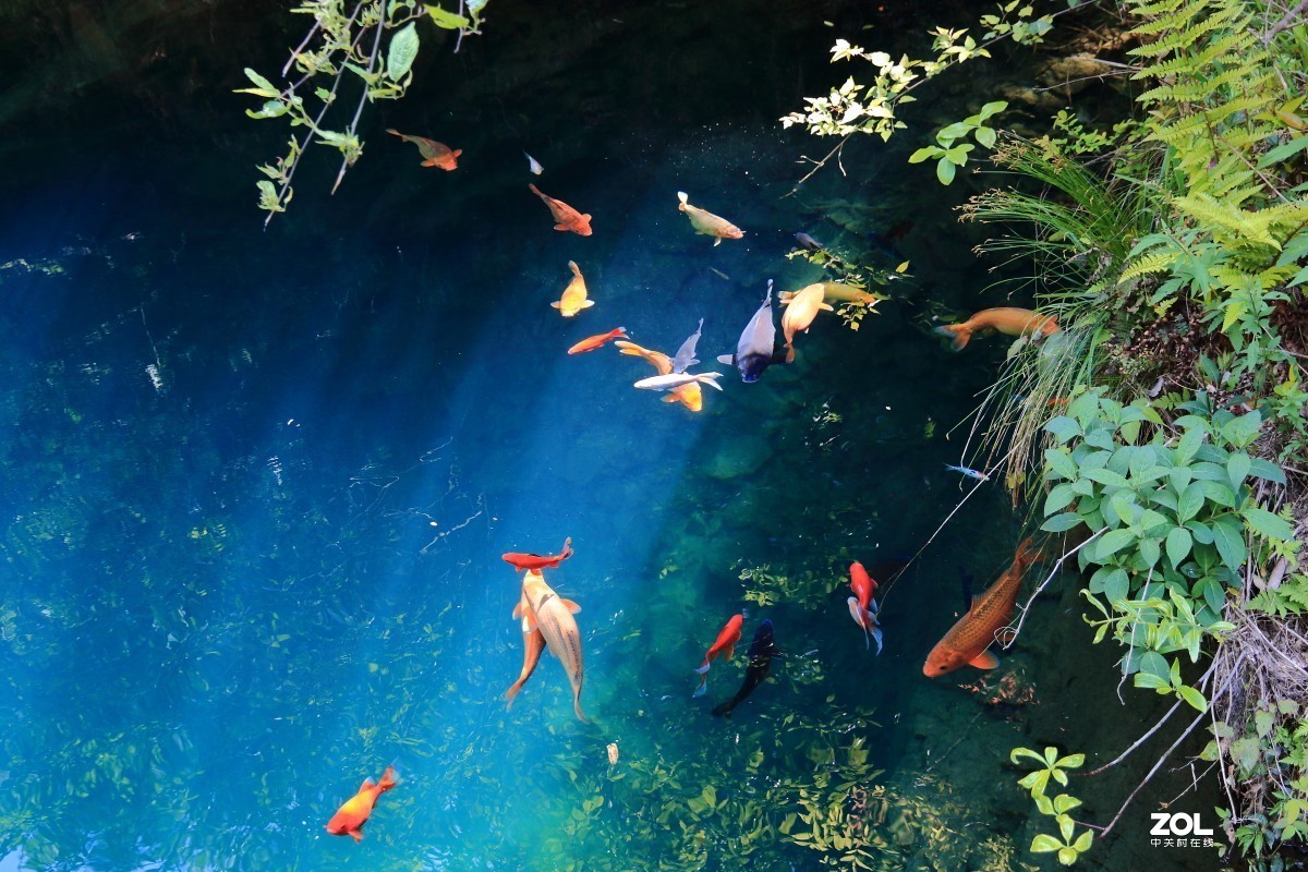 大奇山森林公园～～