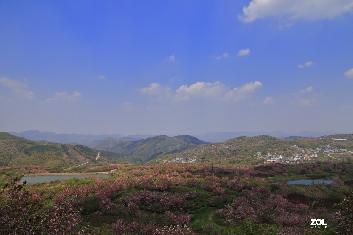 四明山上马岗赏樱之旅～～