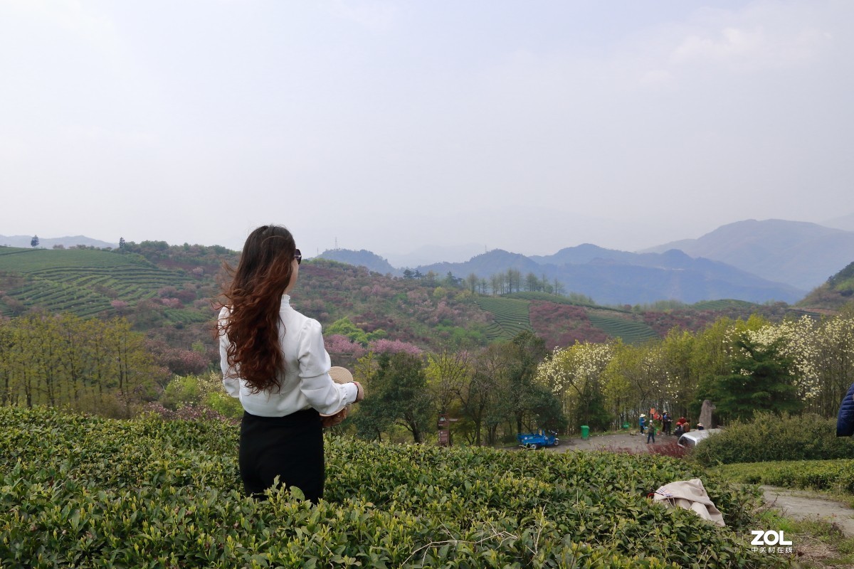 四明山上马岗赏樱之旅～～