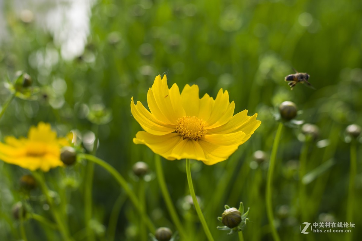 新入手尼康D610，试镜，肯请各位老师批评指正