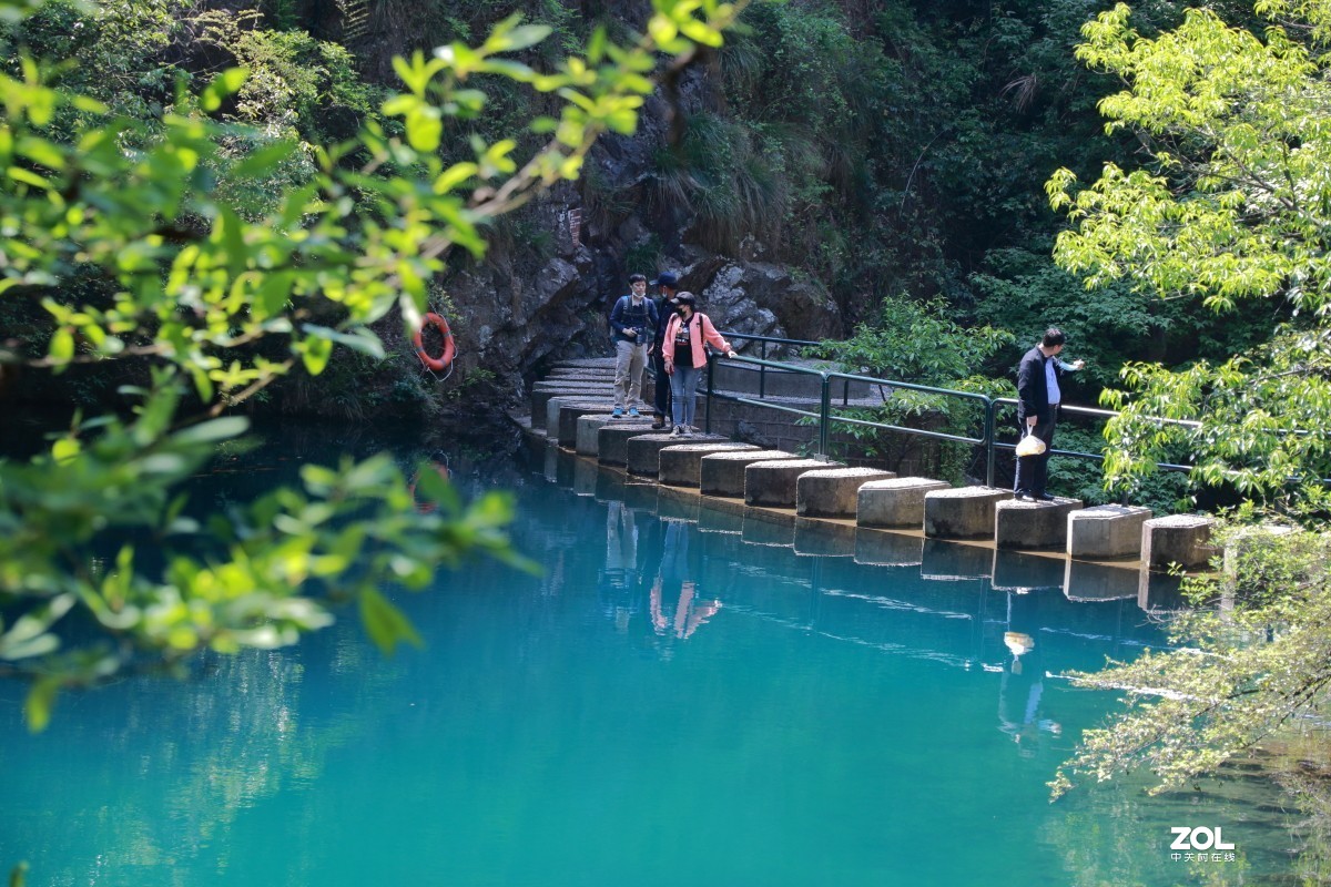大奇山森林公园～～