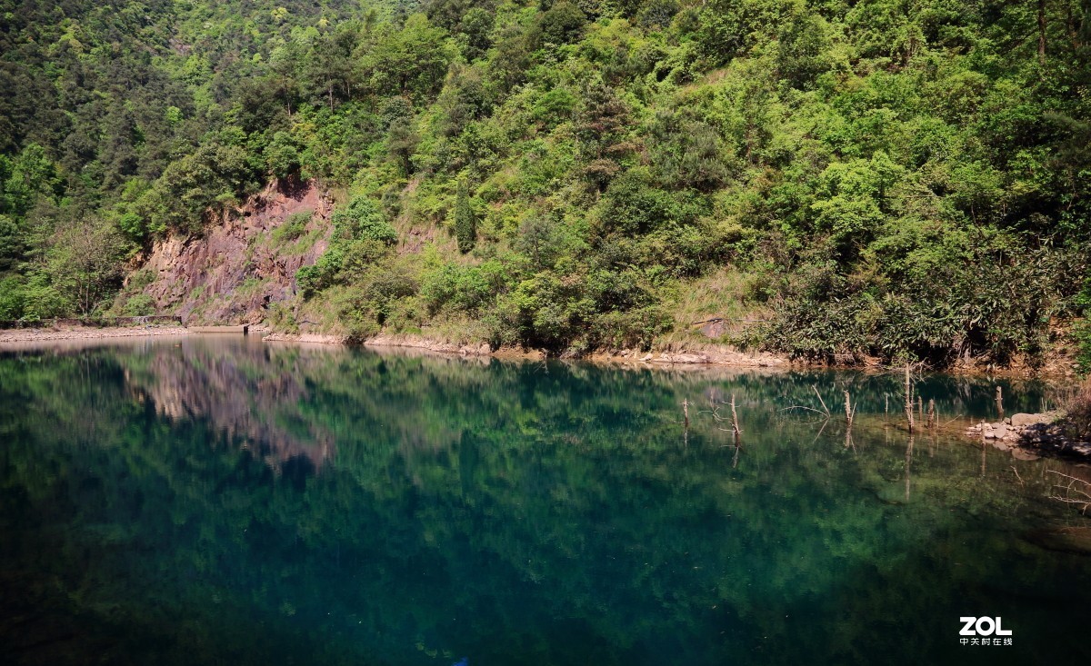 大奇山森林公园～～