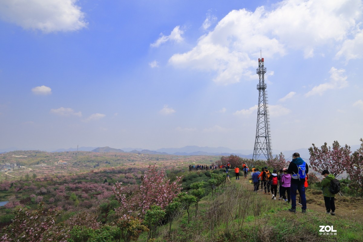 四明山上马岗赏樱之旅～～