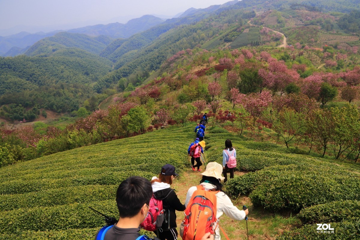 四明山上马岗赏樱之旅～～