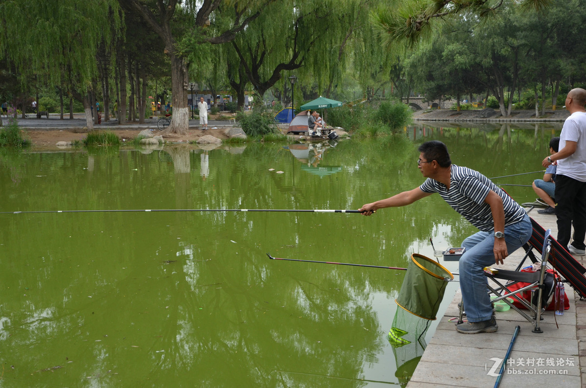 公园里的钓鱼者