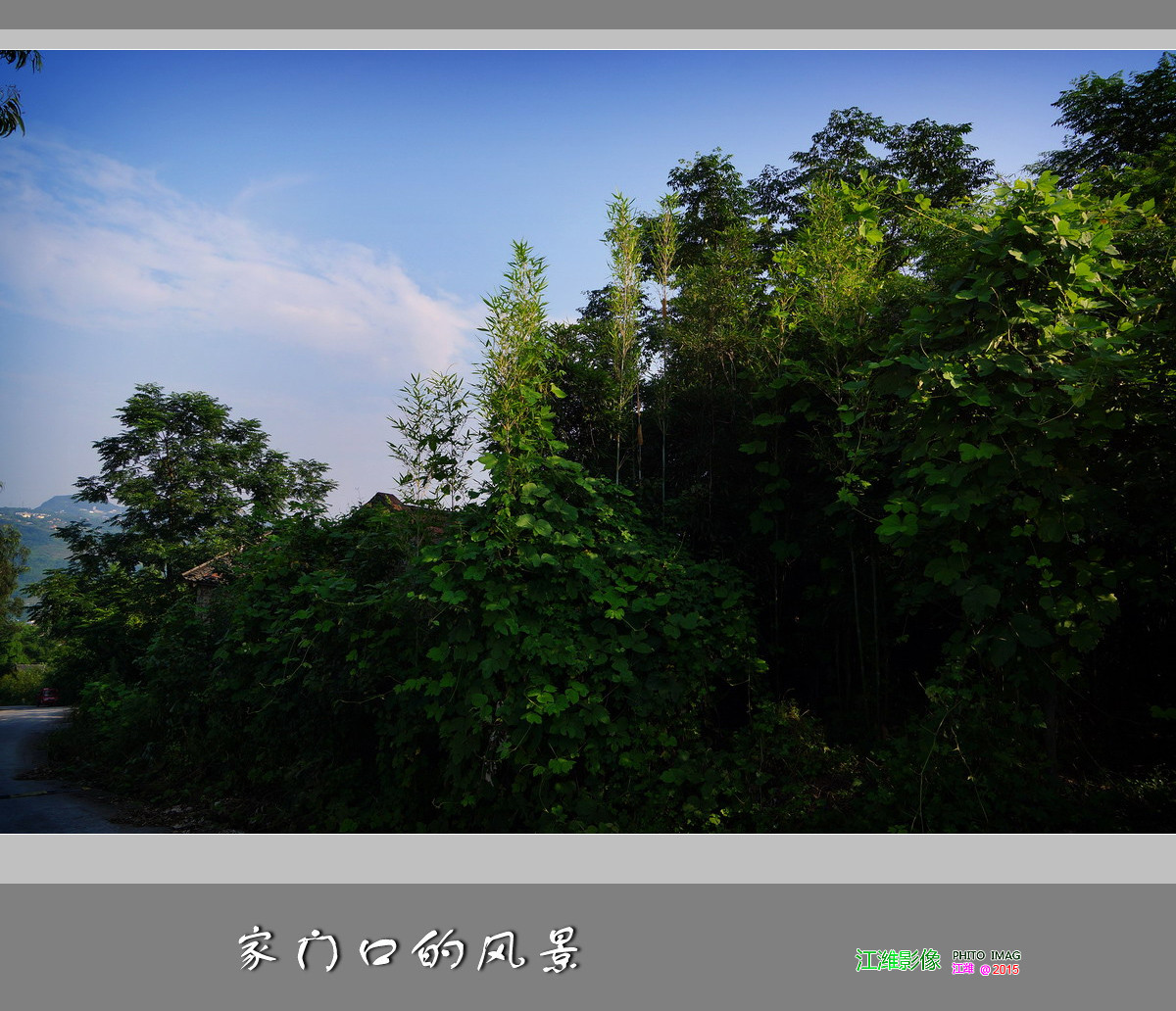 家门口的风景——10P