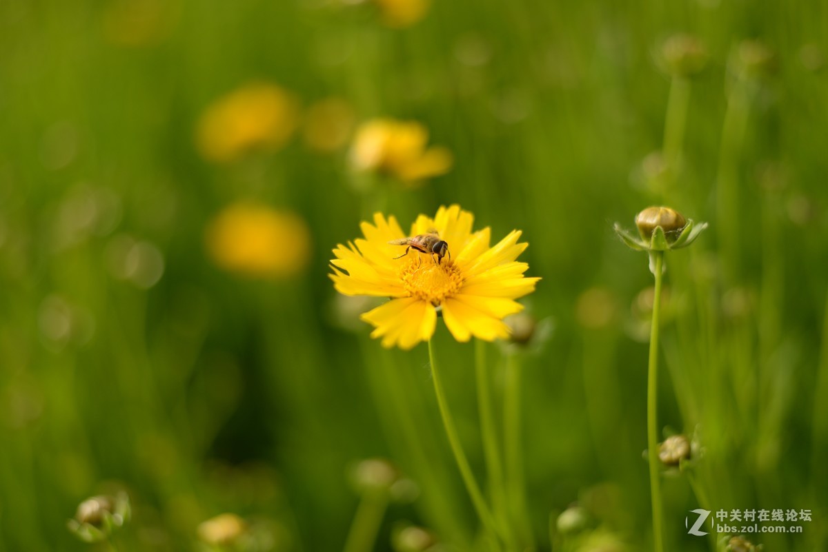 新入手尼康D610，试镜，肯请各位老师批评指正
