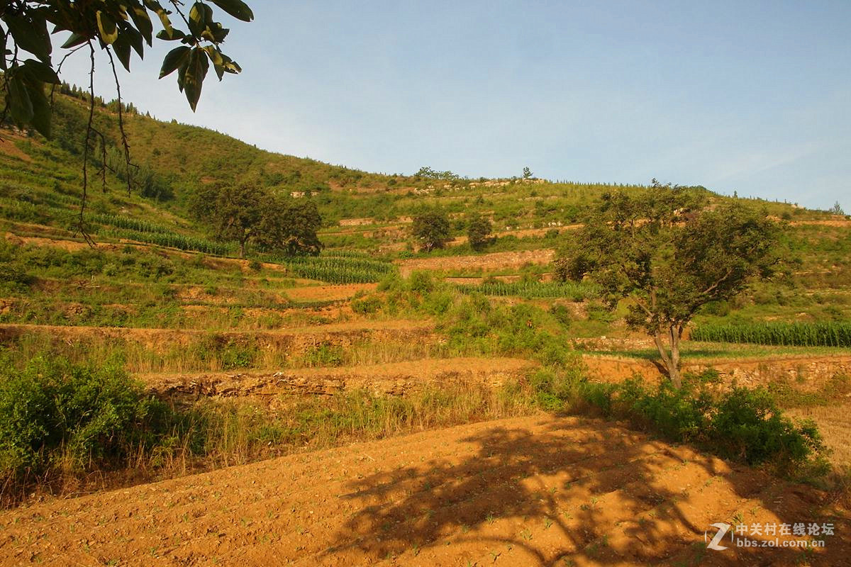 『记录田园』123...11p