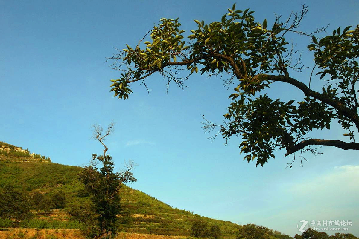 『记录田园』123...11p