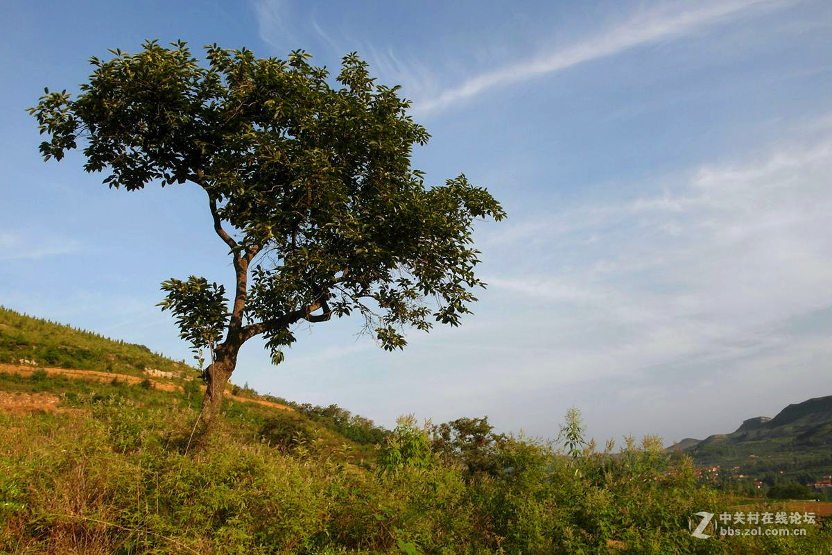 『记录田园』123...11p