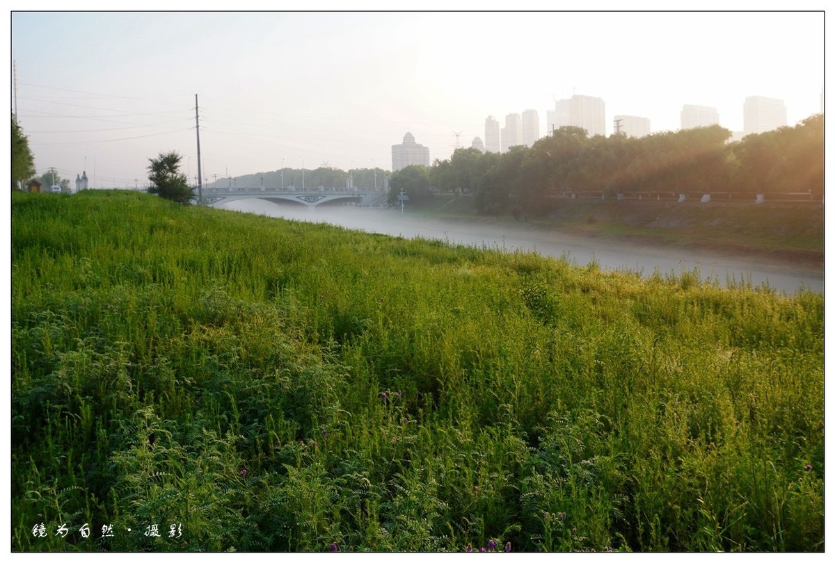 【 何 家 沟 晨 雾 】2019 - 07 - 13