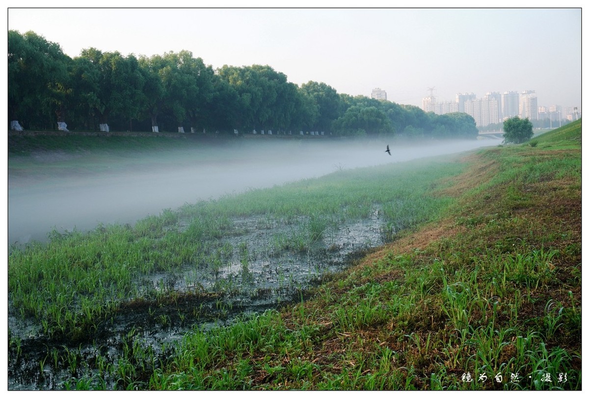 【 何 家 沟 晨 雾 】2019 - 07 - 13
