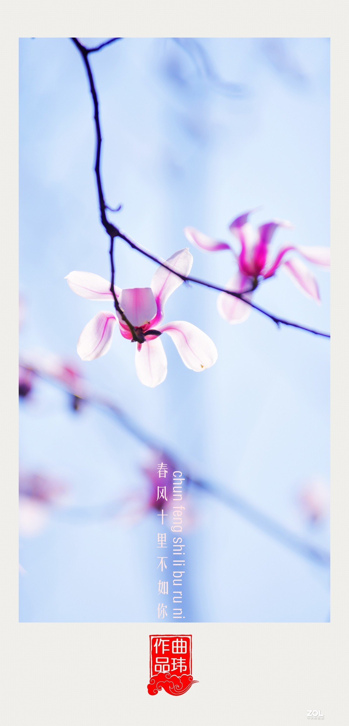 春风十里不如你