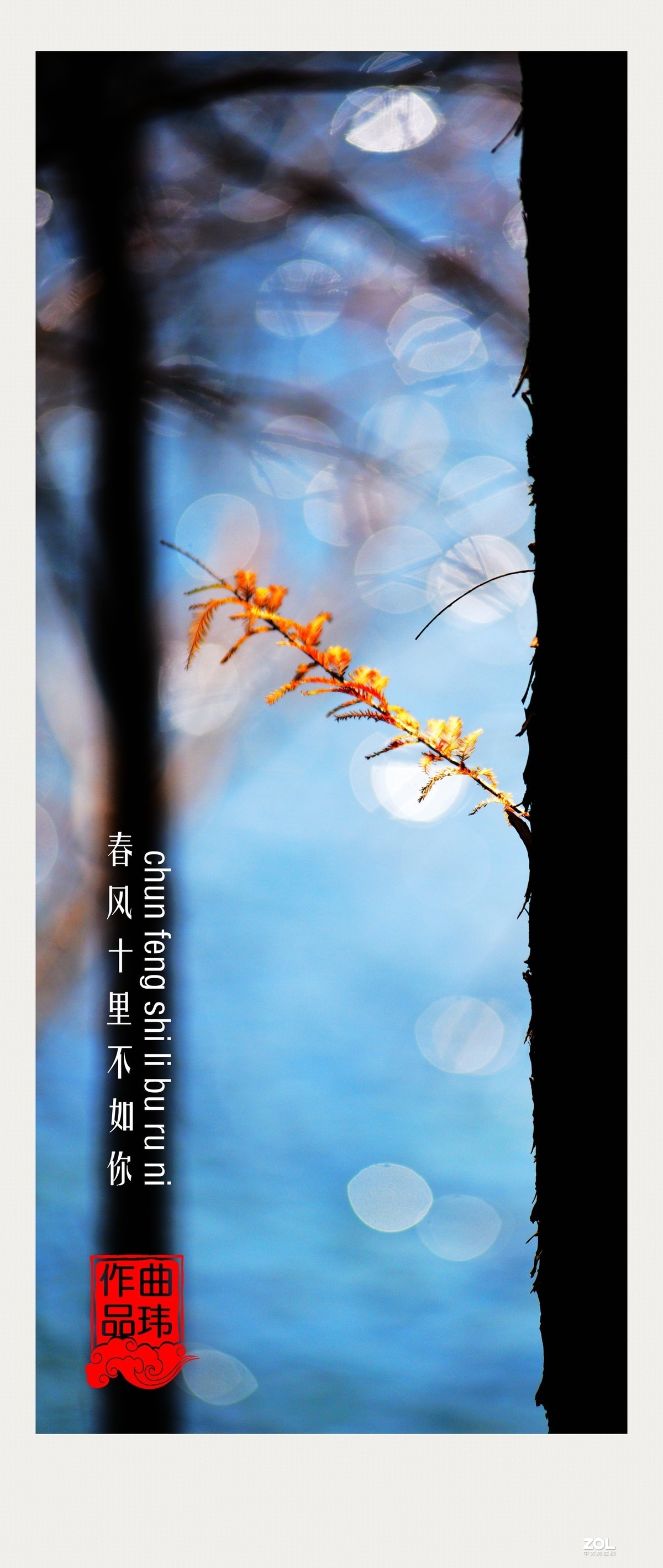 春风十里不如你