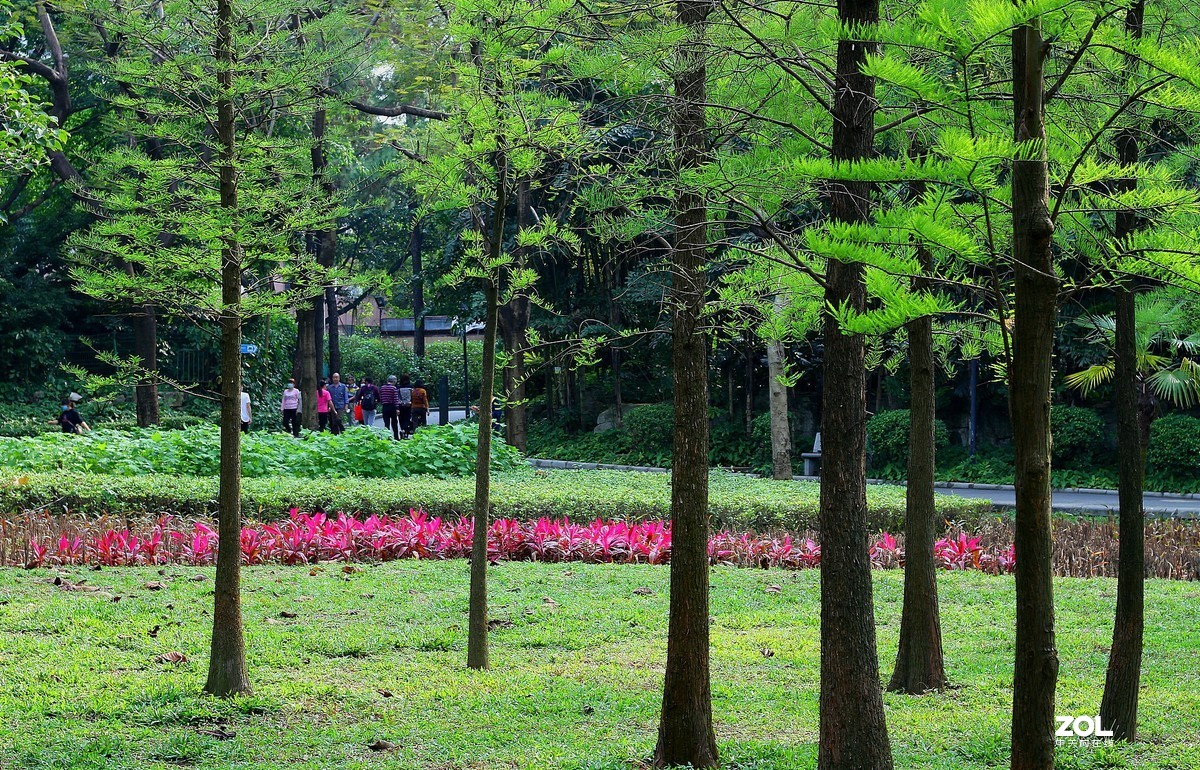 50 1.8stm扫街片。