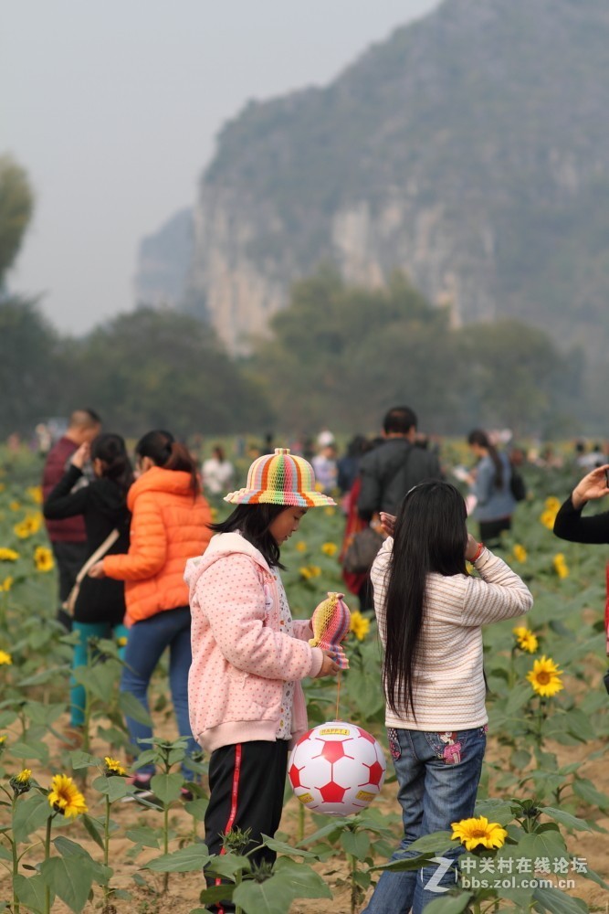 卡尔·蔡司Planar T* 85mm f/1.4 ZE 试片