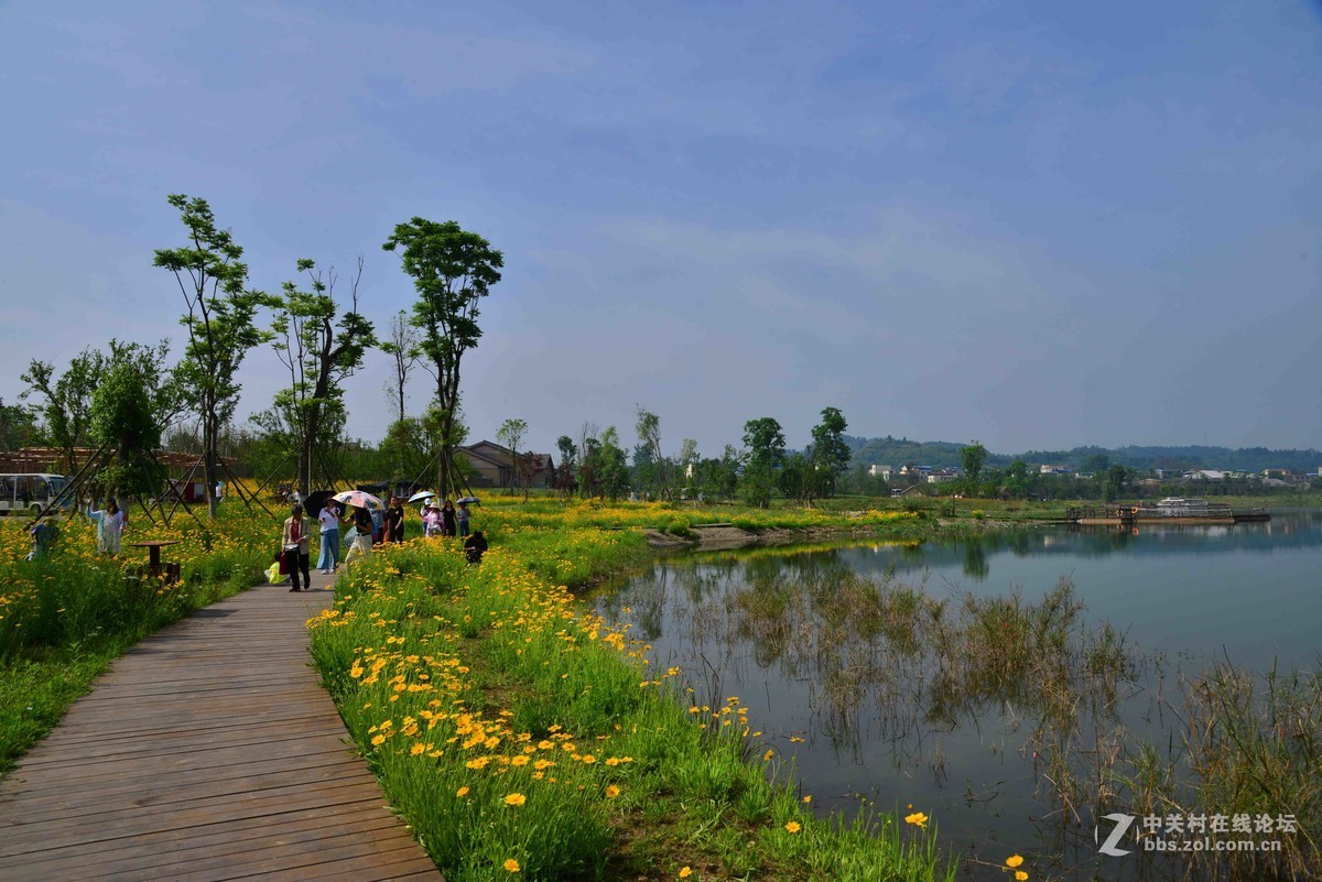 南充凤仪湾湿地公园