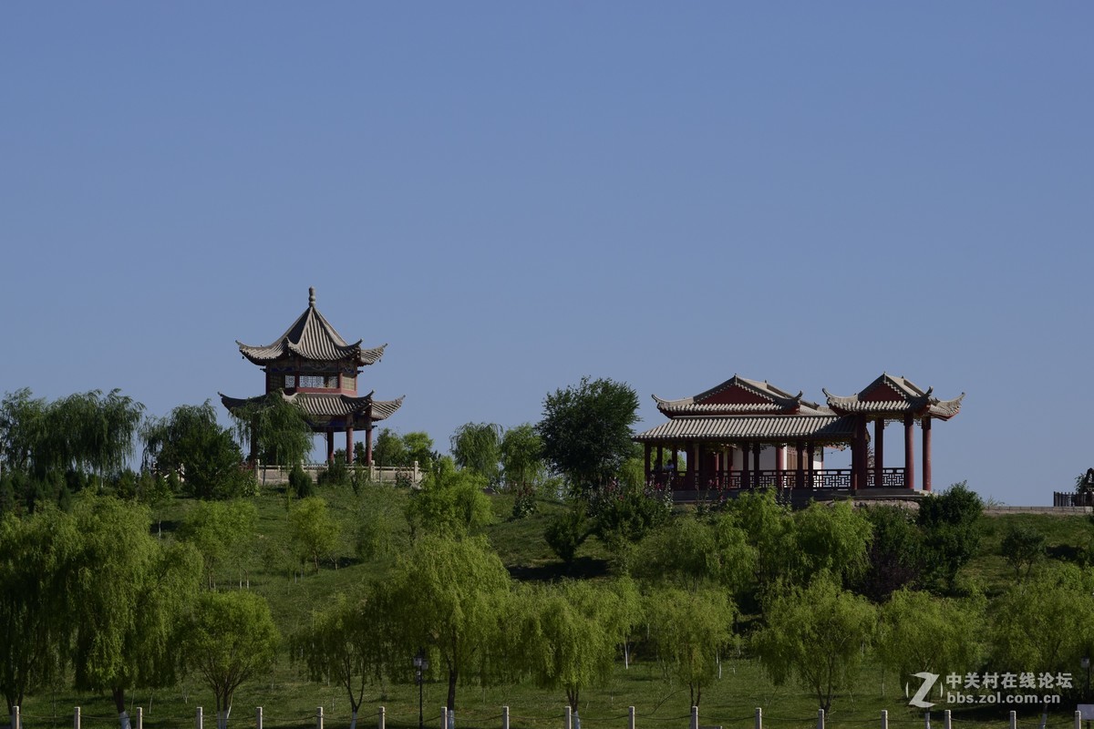 套机狗头试拍一组张骞公园