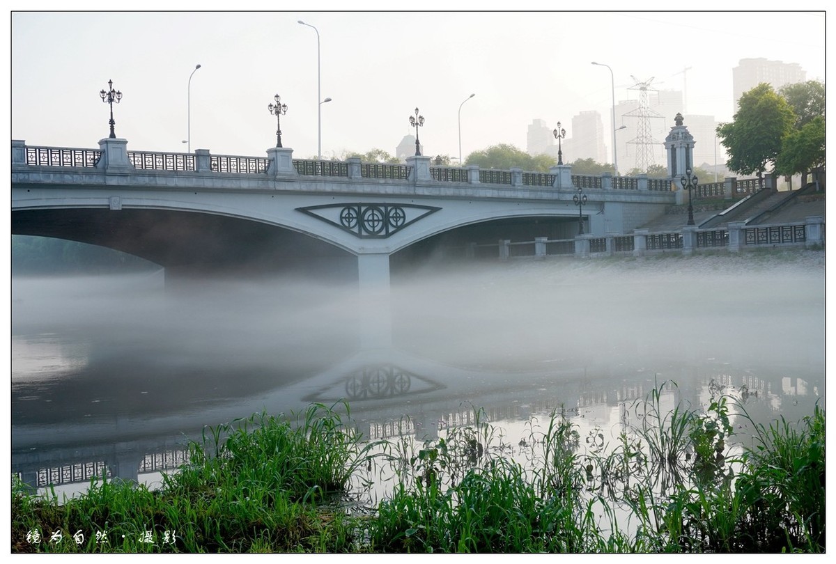 【 何 家 沟 晨 雾 】2019 - 07 - 13