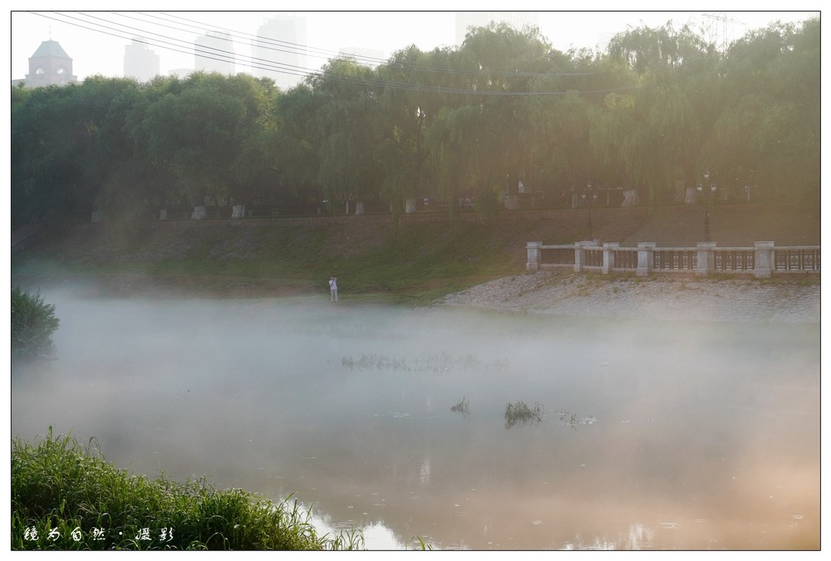 【 何 家 沟 晨 雾 】2019 - 07 - 13
