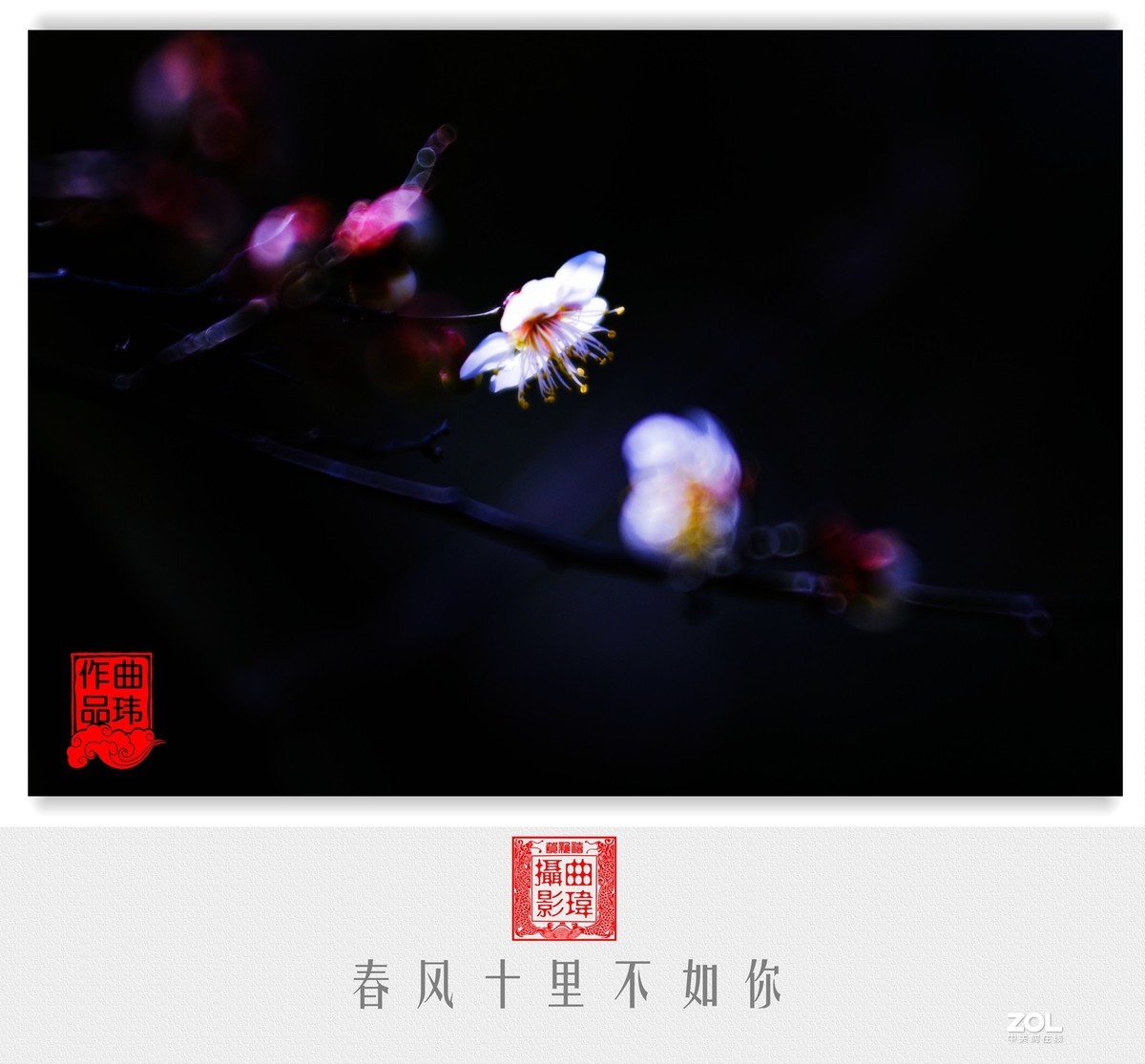 春风十里不如你