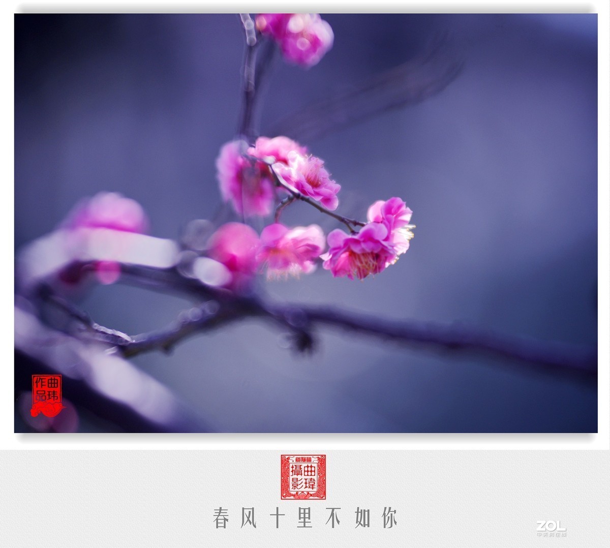 春风十里不如你