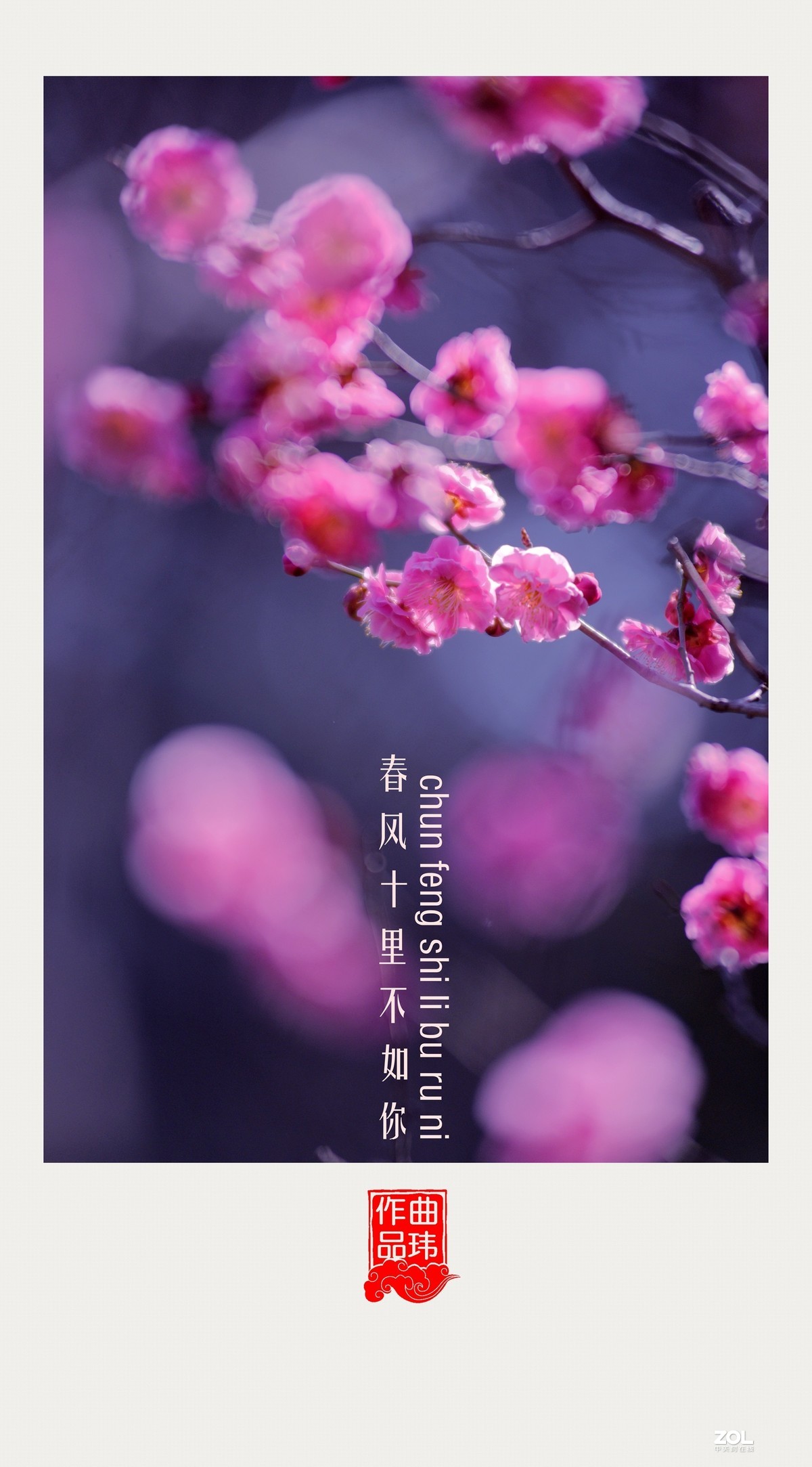 春风十里不如你