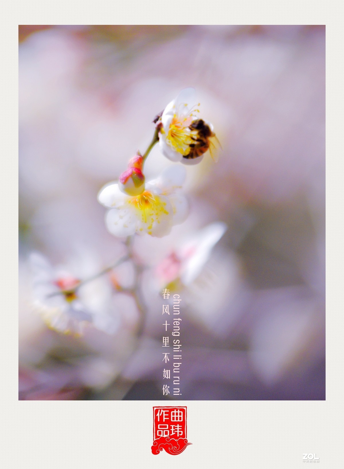 春风十里不如你