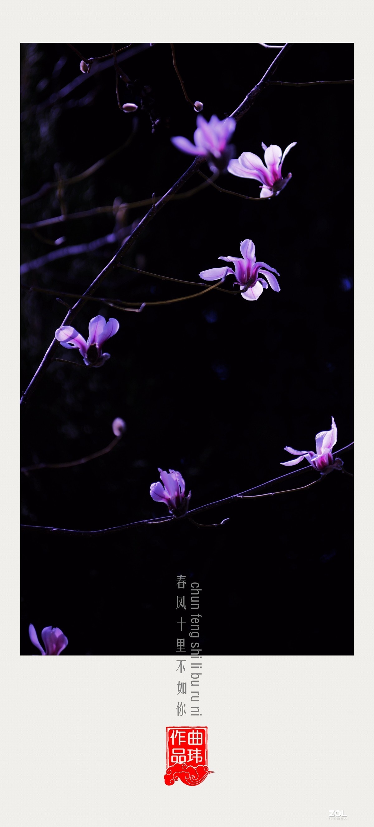 春风十里不如你